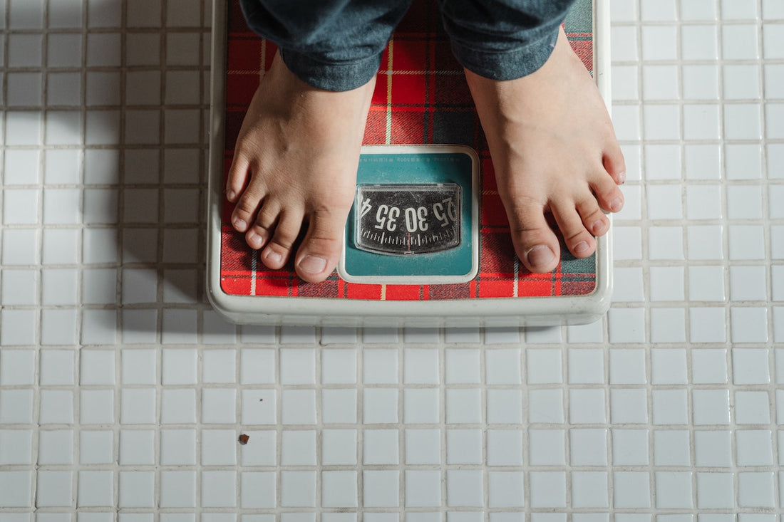 Using a Lunch Box for Weight Loss